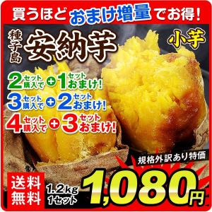 安納芋 小芋（1.2kg）種子島産 安納芋 送料無料＋2セット以上でおまけ付 ご家庭用 さつまいも 蜜芋 極甘蜜芋 中園ファーム 増量特典 国華園