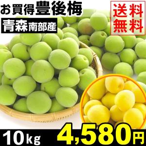 生梅　青森産 お買得 豊後梅 10kg １箱　送料無料 ご家庭用 青梅 黄梅 国華園