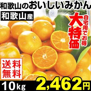 みかん ミカン 和歌山産 和歌山のおいしいみかん 10kg1箱 送料無料 ご家庭用 特別版 国華園