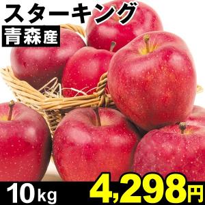 りんご　青森産 スターキング 10kg1箱 食品 国華園