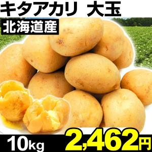 ジャガイモ 北海道産 キタアカリ 【大玉】 10kg1箱 食...