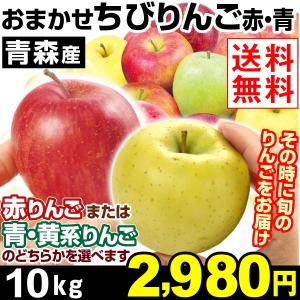リンゴ【お買得】ご家庭用 青森産 品種おまかせちびりんご 10kg 1箱 送料無料 赤りんご 青りんご 国華園