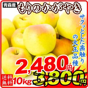 りんご  大特価 青森産 もりのかがやき 10kg 1組 ご家庭用 黄りんご 【数量限定】 希少品種 国華園