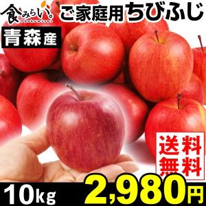 リンゴ 青森産 ご家庭用 ちびふじ 10kg1箱 送料無料 特別版 国華園