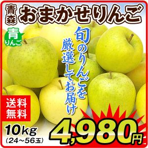 りんご 10kg 青森産 お買得 おまかせ青りんご（24〜56玉）品種見計らい 送料無料 林檎 フルーツ食品 国華園