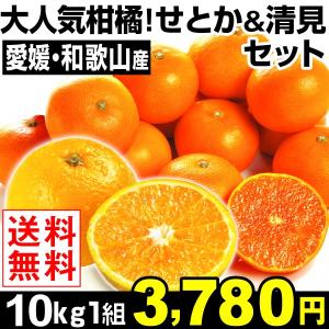 みかん 大人気柑橘！せとか＆清見セット 10kg1組 ご家庭用 送料無料 特別版 国華園 爆買