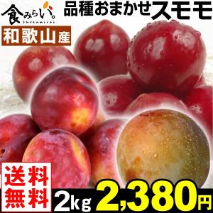 スモモ　和歌山産 おまかせスモモ 2kg １組 送料無料　すもも　プラム　西洋スモモ 国華園