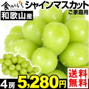 ぶどう ご家庭用 和歌山産 シャインマスカット 4房 1箱 ...