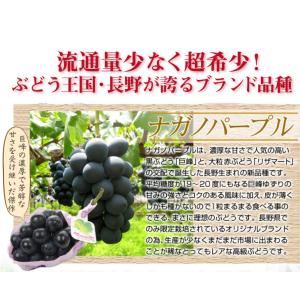 ぶどう 約1.2kg(600g×2房) ナガノ...の詳細画像2