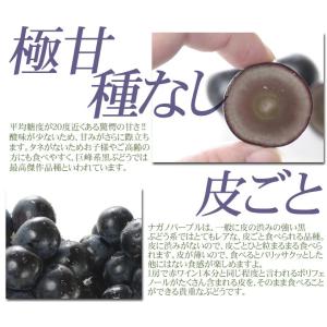 ぶどう 約1.2kg(600g×2房) ナガノ...の詳細画像3