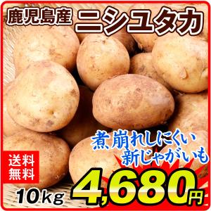 じゃがいも 鹿児島産 ニシユタカ 10kg　ご家庭用 ジャガイモ 煮込み料理に最適 国華園｜seikaokoku