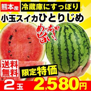 すいか　熊本産 小玉すいか「ひとりじめ」2玉 １箱 西瓜 冷蔵庫にすっぽり入るお手頃サイズ 国華園