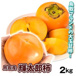 柿 2kg 鳥取産 ご家庭用 輝太郎柿 甘柿 送料無料 食品