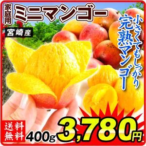 マンゴー アップルマンゴー 400g 宮崎産 ご家庭用ミニマンゴー 太陽のタマゴと同じ品種 送料無料 食品