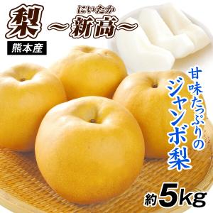メロン 高知産 仁淀ブルー 2玉 奇跡の清流 仁淀川の伏流水が育んだ
