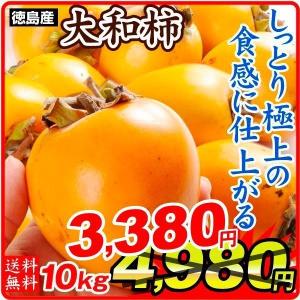 柿 徳島産 大和柿 干柿用渋柿 10kg1箱 軸付き 送料無料 やまと柿 食品 数量限定 グルメ 国華園