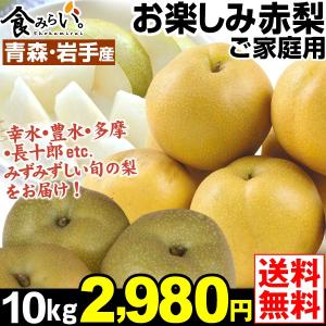 梨　青森・岩手産 たっぷりお楽しみ赤梨 10kg 1箱 送料無料 ご家庭用 和梨 品種おまかせ  豊水 長十郎 多摩 グルメ 国華園