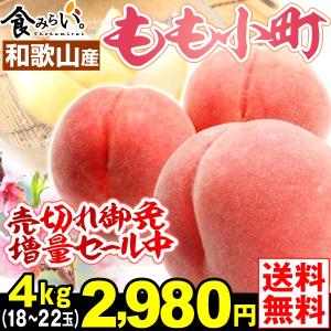 桃  和歌山産 もも小町 4kg箱 送料無料 ★★数量限定3kg＋1kg増量セール★★18〜22玉入 ご家庭用　白鳳　 川中島白桃 清水白桃 紀州の桃 国華園