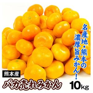 みかん 10kg 温州みかん バカ売れみかん 熊本産 極早生 蜜柑 バカ売れ 数量限定 送料無料 食品 国華園