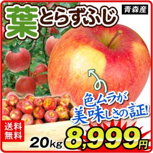 りんご 約20kg 青森産 ご家庭用 葉とらずふじ 木箱（50〜90玉）送料無料 林檎 フルーツ食品 国華園