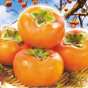 柿 和歌山産 大特価 富有柿 15kg (7.5kg×2箱) ご家庭用 送料無料 食品
