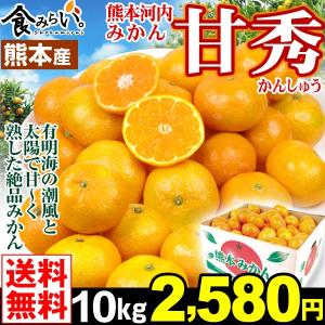 熊本産みかん 甘秀(かんしゅう) 10kg 1箱 送料無料  温州みかん S〜２L 甘熟 グルメ 国華園