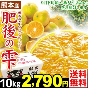 みかん 熊本産みかん 肥後の雫(ひごのしずく)10kg1組 送料無料  温州みかん★秀品相当ランク★ S〜２L 早生 極早生　くまモン箱でお届け 国華園