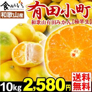みかん 和歌山産 有田小町・極早生 10kg 1箱 送料無料  ご家庭用 有田みかん　紀州みかん S〜２L【10月中旬頃〜順次出荷予定】　 グルメ 国華園