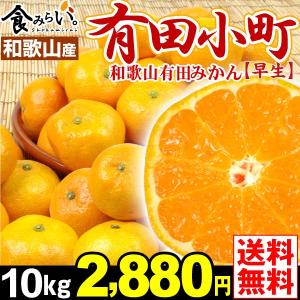 みかん 和歌山産 有田小町・早生 10kg 1箱 送料無料 ご家庭用 有田みかん 紀州みかん S〜２L ありだみかん【12月上旬頃〜順次出荷予定】 国華園