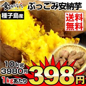 安納芋　種子島産 ぶっこみ安納芋 10kg1箱 送料無料 ご家庭用 ふぞろい さつまいも 数量限定 グルメ 国華園