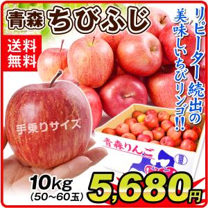 りんご 10kg 青森産 ちびふじ（50〜60玉）小玉 送料無料 林檎 フルーツ食品 国華園