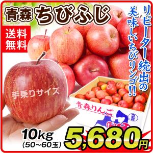 りんご 10kg 青森産 ちびふじ（50〜60玉）小玉 送料無料 林檎 フルーツ食品 国華園