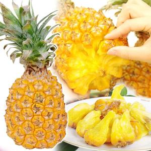 パイナップル 沖縄産 スナックパイン（3玉） ちぎって食べる 極甘 南国 フルーツ 国華園