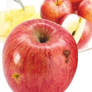 りんご 青森産 傷あり 美味しいサンふじ 5kg 1箱（2022年1月発送分） 送料無料 食品 国華園