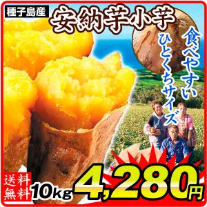 さつまいも 種子島産 安納芋【小芋】 10kg ご家庭用 送料無料 食品