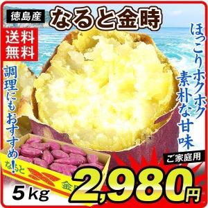 さつまいも 徳島産 お買得なると金時 5kg 1箱