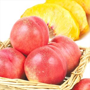 青森産 ネクタリン 4kg 1箱 冷蔵便  食品 国華園