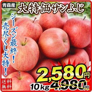 りんご 青森産 ご家庭用 サンふじ 10kg 1組 国華園 【シーズン終盤につき特別特価で大放出】