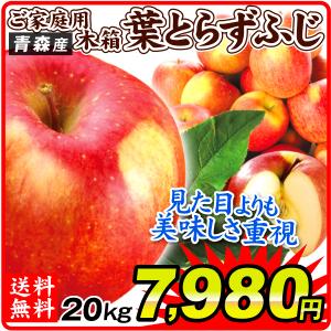 りんご 青森産 ご家庭用 葉とらずふじ 木箱 約20kg 1箱 送料無料 食品 国華園