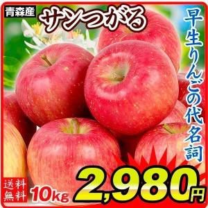 りんご 青森産 サンつがる（10kg）24〜50玉 ご家庭用 早生品種 林檎 果物 フルーツ 数量限定 国華園