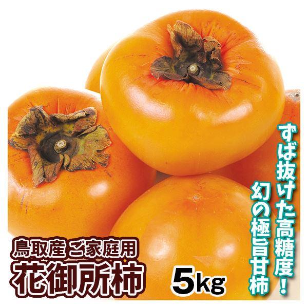 柿 5kg 花御所柿 (はなごしょ) 鳥取産 送料無料 食品