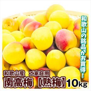 梅 和歌山産 ご家庭用 南高梅・熟梅 10kg 紀州梅 梅干し 送料無料 冷蔵便 食品