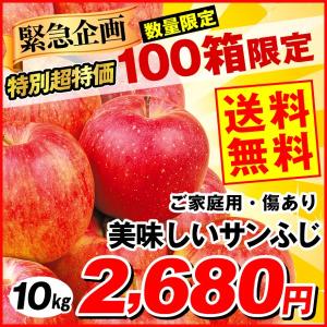 りんご 「数量限定」サンふじ 10kg 青森県産 キズあり美味しいサンふじ ご家庭用 訳あり 林檎 ふじりんご さんふじ 現在出荷中 果物 国華園