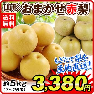 梨 山形産 おまかせ赤梨（約5kg）7〜26玉 ご家庭用 なし 和梨 赤梨 品種おまかせ  豊水 幸水 南水 秋月など フルーツ 果物 食品 国華園 爆買
