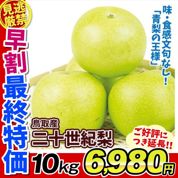 梨 10kg 二十世紀梨 鳥取産 ご家庭用 送料無料 食品