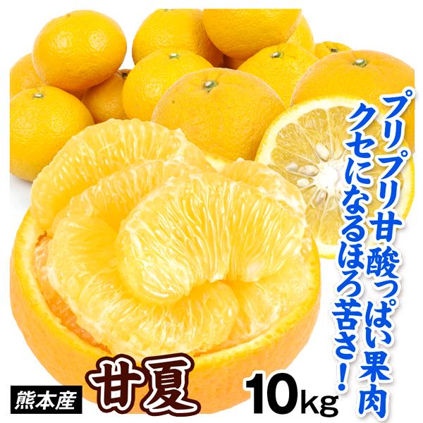 みかん 10kg 甘夏 ご家庭用 熊本産 柑橘 蜜柑 果物 フルーツ 送料無料 食品