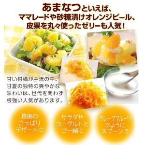 みかん 10kg 甘夏 ご家庭用 熊本産 柑橘...の詳細画像4