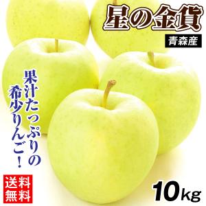 りんご 10kg 星の金貨 青森産 送料無料 食品