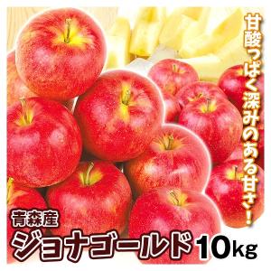 りんご 10kg 青森産 ジョナゴールド（24〜56玉）送料無料 林檎 フルーツ食品 国華園