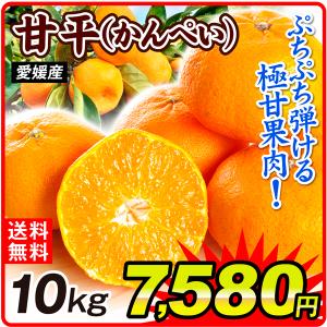 みかん 10kg（5kg×2箱）愛媛産 甘平 かんぺい ご家庭用 無選別 送料無料 食品 フルーツ 果物 国華園